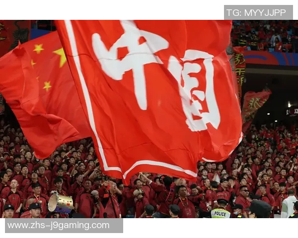 中国足球赛场频现打架事件引发热议球迷与球员的冲突何时才能终止